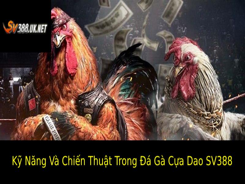 Đá Gà Cựa Dao SV388 – Chiến Kê Tranh Đấu Đỉnh Cao Các kỹ năng và chiến thuật cơ bản trong Đá gà cựa dao SV388