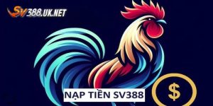 Nạp Tiền SV388 | Cách Thức Gửi Vốn Vào Quỹ Với 4 Bước Cơ Bản