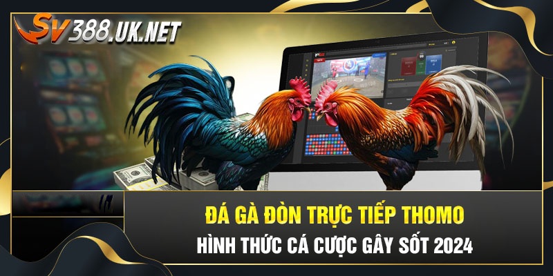 Trực Tiếp Đá Gà Đòn Thomo Các Trận Máu Lửa Chuyên Nghiệp Nhất Trực Tiếp Đá Gà Đòn Thomo Các Trận Máu Lửa Chuyên Nghiệp Nhất