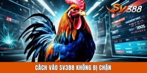 Cách Vào Sv388 Không Bị Chặn, Nhanh Chóng Qua 3 Bước A - Z