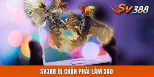SV388 Bị Chặn Phải Làm Sao? Cách Xử Lý Chuẩn Nhất Cho Newbie