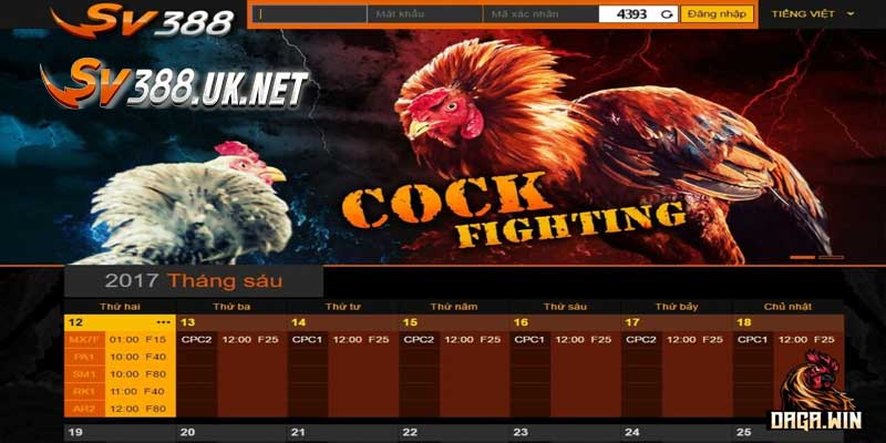 Giới Thiệu SV388 – Đấu Trường Đá Gà Uy Tín Hàng Đầu Châu Á sv388 có gì