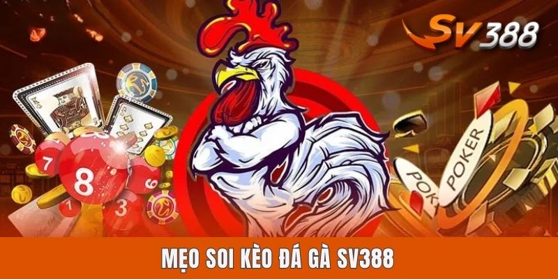 Mẹo Soi Kèo Đá Gà Sv388 | Cẩm Nang 4 Bí Kíp Vàng Bất Bại Mẹo Soi Kèo Đá Gà Sv388 | Cẩm Nang 4 Bí Kíp Vàng Bất Bại