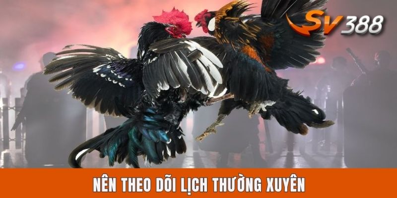 Lịch Thi Đấu Đá Gà Sv388 Hôm Nay | Tra Cứu Tin Mới Nhất 2025 Nên theo dõi lịch thường xuyên