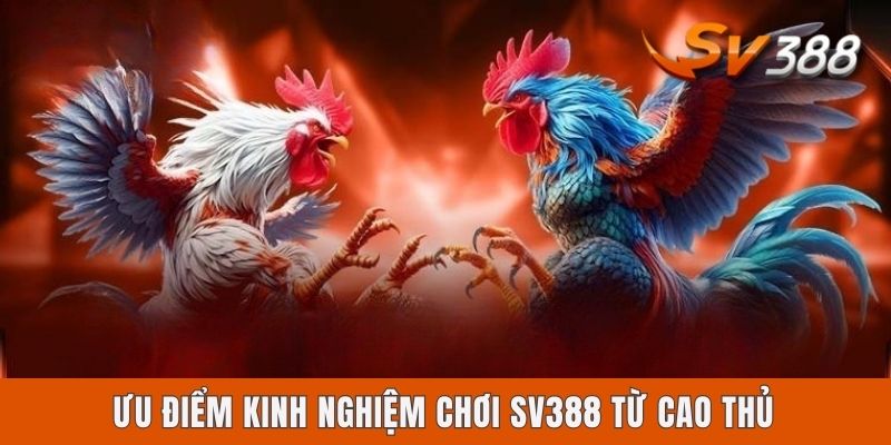 Kinh Nghiệm Chơi Sv388 Từ Cao Thủ Với 4 Hình Thức Phổ Biến Ưu điểm kinh nghiệm chơi Sv388 từ cao thủ